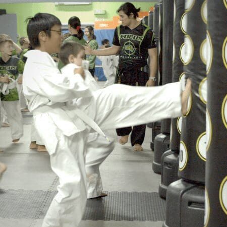 Kids Taekwondo Classes