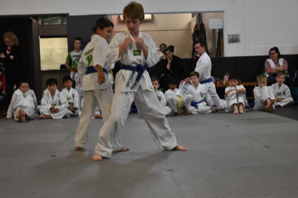 Kids Taekwondo Classes Mackenzie