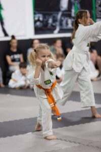is karate and taekwondo the same