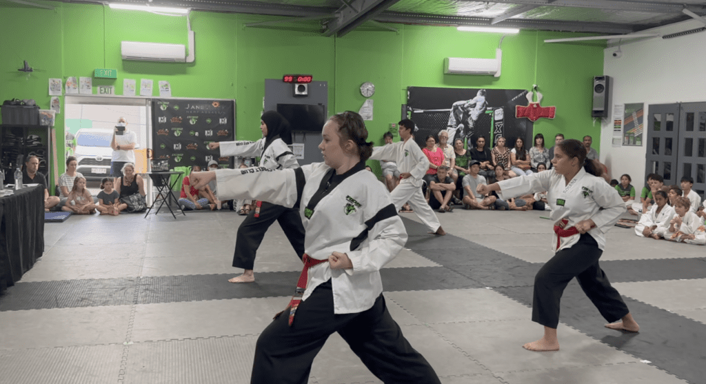 Adult Taekwondo Classes in Mackenzie